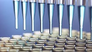 Ssw beginnt die schwangerschaft nun richtig, wenn es ein spermium bis zur eizelle geschafft und diese befruchtet hat. Gentests In Der Schwangerschaft Wann Sie Nutzen Konnen