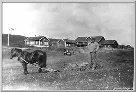 Daglig leder, styreleder, styremedlemmer og eiere. Hellerud