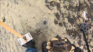 The new headhunter pirate pro. Improved Pirate Pro Metal Detector In Salt Water Youtube