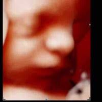 20+ "Vito Pizzo" profiles