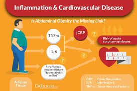 Measuring Your C Reactive Protein Levels Drjockers Com