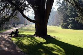 Organisation internationale de police criminelle), commonly known as interpol (uk: Les Mutations D Un Parc Urbain La Tete D Or L Influx