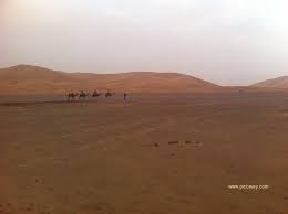 Merzouga best source for travel inspiration.シ︎ ⛺ luxury camp & travel agency tag #inmerzouga to be featured ☾︎ collaboration www.inmerzouga.com/links. Sahara Desert Roses Kasbahs My Morocco Road Trip