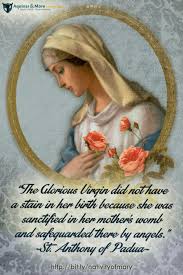 Birthday Card For Mother Mary Happy Birthday Mary Celebrating The Nativity Of Mary Happy Birthday Mama Mary Blessed Mother Mary Nativity Of Mary