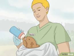 What kind of jobs do zoos and aquariums offer? How To Be A Zookeeper 9 Steps With Pictures Wikihow