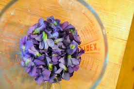 Damson plums are great for fresh eating, cooking, jam, or making wine. Soulemama Violet Jam