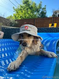 Peachjars Exclusive Leaked Nude Onlyfans 4210342