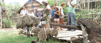 Chilly willy and his family take a stroll through buin marino hoping to be able to welcome them back very soon stay tuned. Viaje A Zoologico Buin Zoo Turismo Alfa Pacific