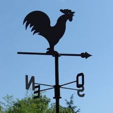 National animal of italy the wolf is the national animal of italy. What Does The Rooster Represent In France