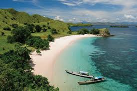 — launching point for komodo island and diving and snorkeling. Your Next Trip Flores Indonesia Expat