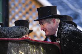 Punxsutawney phil, the weather predicting groundhog, is placed on his stump during annual every feb.2, people gather in punxsutawney to watch phil look for his shadow. B Wbxyijcglnmm