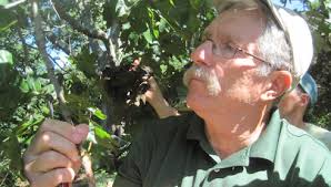 The Polly Hill Arboretum » SCIENCE