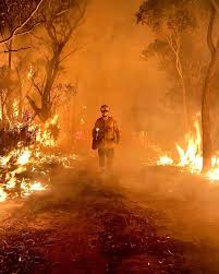 Australia Fires Bushfires In Australia Wild Fire Australia Wallpaper