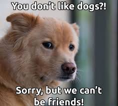 You Don T Like Dogs Sorry But We Can T Be Friends Dogs Dog Love Dog Quotes