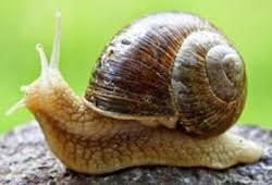 Check spelling or type a new query. 8m07mprmp5gpkm