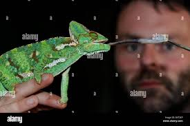 Kirkley hi-res stock photography and images