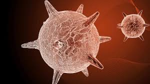 Habe herpes, besser nicht zum kinderarzt mitkommen? Lippenherpes Ursachen Symptome Und Behandlung Der Infektion