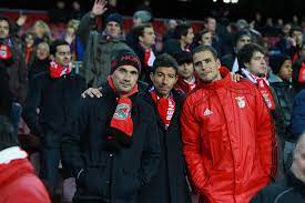 Ricardo araújo pereira dá a cara pela candidatura de joão noronha lopes às eleições para a presidência do benfica. Sou Benfica On Twitter Ricardo Araujo Pereira E Da Minha Vida Sport Lisboa E Benfica Que Estamos A Falar Nao Brinquem