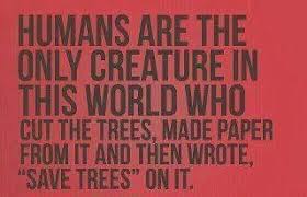 Funny Random Quotes That Make No Sense Positive Quotes