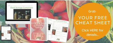 Just like store bought tomato juice. 15 Best Paste Tomatoes For Canning Misfit Gardening