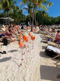 Everything You Need To Know About Visiting Flamingo Beach Aruba The Sweetest Escapes Aruba Vacations Aruba Resorts Aruba Travel