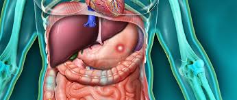 Au 31 décembre 2009, 20 824 patients étaient en ald pour cette affection (régime général). Cancer De L Estomac Quels Signes Et Symptomes Fiches Sante Et Conseils Medicaux