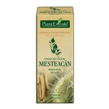 Am padure de mesteacan la mosie , cica produc cel mai mult oxigen pomii astia ( cred ca e adevarat ca ma imbat mereu cand ajung acolo ). Extract Din Seva De Mesteacan