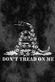 Wearing Dont Tread On Me Gadsden Flag Symbol Might Be 640 640 Don T Tread On Me Wa American Flag Wallpaper Dont Tread On Me