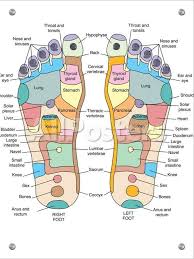 Reflexology Foot Map Artwork Photographic Print Peter Gardiner Allposters Com Reflexology Foot Map Foot Reflexology Reflexology Foot Chart