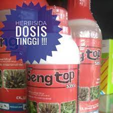 Rumput jepang merupakan salah satu jenis tanaman hias yang paling sering ditanam. Herbisida Obat Rumput Dosis Tinggi Seng Top 535 Sl Kemasan 500 Ml Shopee Indonesia