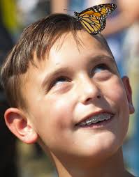 Louisville Zoo releases 1,000-plus butterflies at Flutter Fest