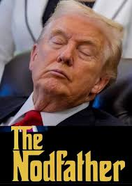 Criticism of a public figure's behavior and policies