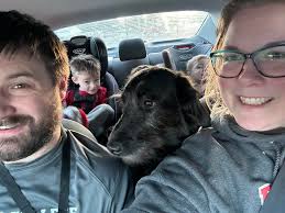 Lost dog found in winter valley area