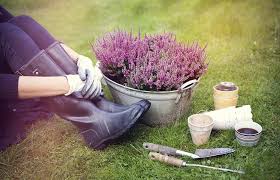 Stress less color by number flowers. Stress And Disease Conditions That May Be Caused By Chronic Stress