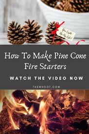 The string serves as a homemade wick and you can light the pinecone just like a candle when you're ready to use it. Pine Cone Fire Starters How To Make Them Video