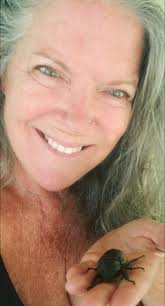 Can anybody help me to identify this carabid. I think is a Harpalus, but i  don´t know the species. It was collected in center of spain 1100 meters  above sea level in