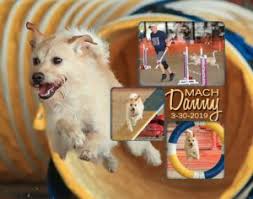 Competition Update Fall 2019