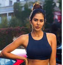 Sonam bajwa known for her work as actress, model. Sonam Bajwa Husband Name Sonam Bajwa 2020 New Telugu Hindi Dubbed Blockbuster Movie 2020 South Hindi Dubbed Movies Wupeme
