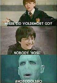 Funny Harry Hermione Memes Potter Train Harry Potter Memes Train Down Funny Harry Potter Memes Hilarious Harry Potter Funny Pictures Harry Potter Images