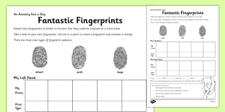 Forensic science is the application of science (chemistry, physics, and biology) to the criminal and civil laws that are enforced by police agencies in a criminal justice system. Basic Math Decimals Forensic Science Worksheets Ks3 Free 3rd Grade Multiplication And Division Worksheets Math Worksheets For Slow Learners Interactive Fraction Games Ks2 Numbers And Algebra Worksheets 4th Grade Measurement Worksheets 4