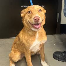 Donna Rego's Instagram, Twitter & Facebook