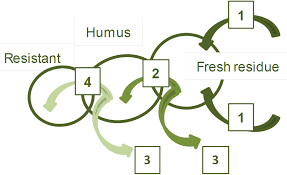 What even does organic mean? What Is Soil Organic Carbon Agriculture And Food