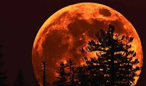 In the book of joel, it served as an omen, written as, the sun will turn into darkness, and the moon into blood, before the great and. Lunar And Solar Eclipse Significance In Islam And What Muslims Should Do During These Celestial Wonders India Com