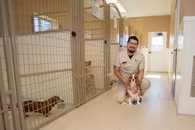 Prytania veterinary hospital is committed to providing excellent care for you and your pet family for many years to come. Pet Boarding Grooming Houston Tx Oak Forest Veterinary Hospital