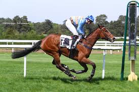 Vous allez sûrement parier un jour sur une course de trot, mais avant de vous lancer et de parier bêtement, il est indispensable de connaître cette dicipline. Jockey Ou Driver Quelles Differences Notre Guide