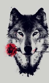 Sketsa tersebut ingin menonjolkan kostum naruto yang bagian dalamnya dilapisi kaos hitam hingga menutup leher. Wow 30 Gambar Wallpaper Serigala Keren Gambar Keren Coy