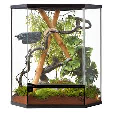 Thrive Tropical Reptile Corner Terrarium 20 Gallon Reptile Terrarium Reptiles Terrarium