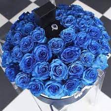 Beautyroseskw בטוויטר بوكيه ورد ازرق طبيعي ب ٢٢دك ماراح تلاقون ارخص من هالسعر للطلب والاستفسار وتساب 50528767. Ø¨ÙˆÙƒÙŠÙ‡ ÙˆØ±Ø¯ Ù…Ù†Ø§Ø³Ø¨ Ù„Ø¹Ø´Ø§Ù‚ Ø§Ù„Ù„ÙˆÙ† Ø§Ù„Ø§Ø²Ø±Ù‚ Ø±Ù…Ø§Ø¯ÙŠØ© Ø¨Ù‚Ù„Ø¨ Ø§Ø²Ø±Ù‚ Facebook