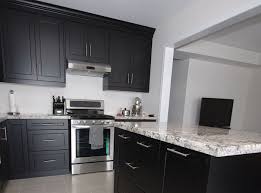 custom kitchen cabinets in black thermo