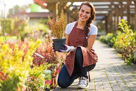 Find here detailed information about kitchen cabinets installation costs. The 10 Best Garden Centers And Nurseries In Georgia